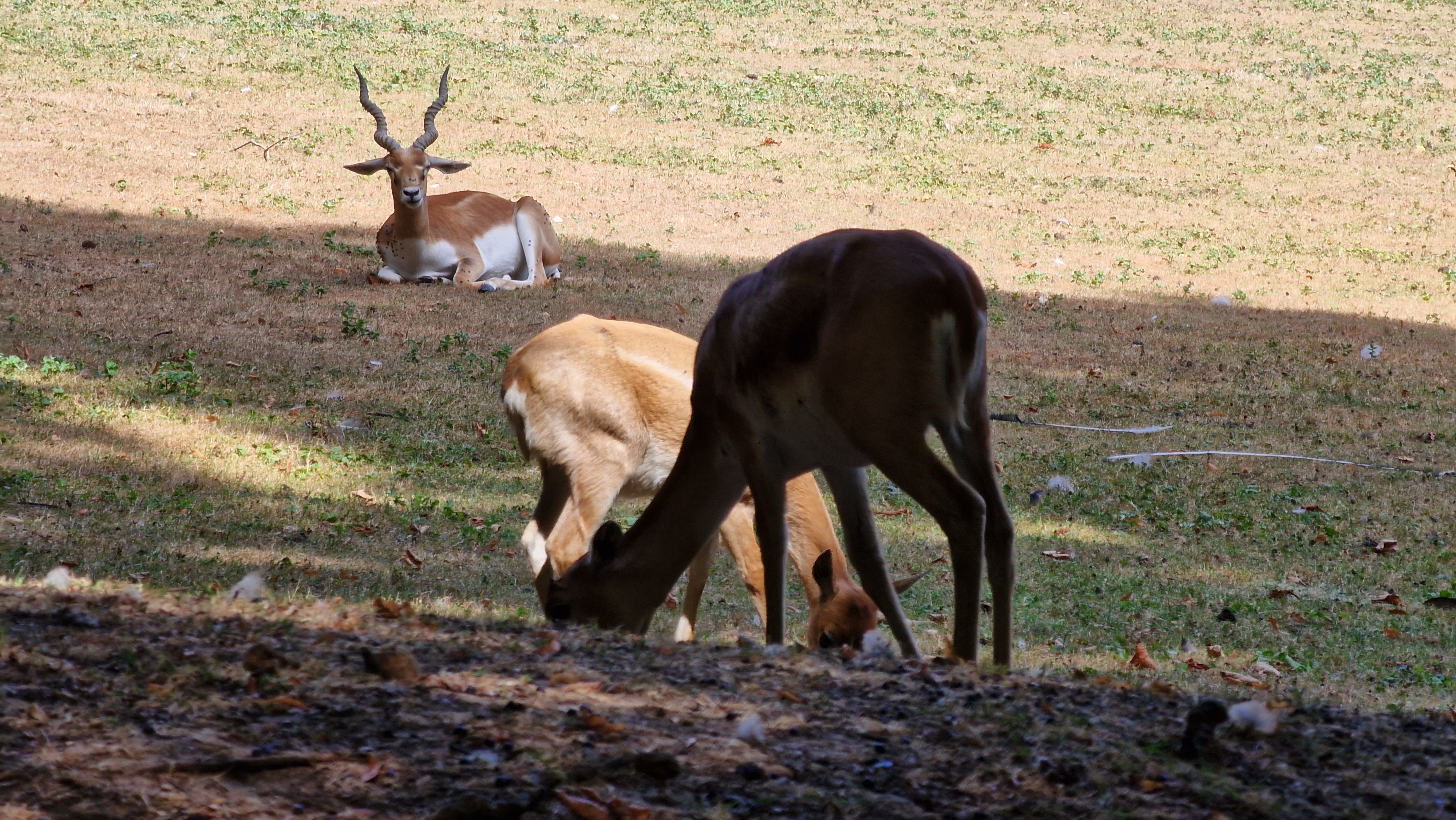 Photo n° 5 de l'avis de Xavier.E fait le 07/08/2022 à 10:27