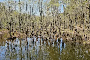 Schorfheide-Chorin Biosphere Reserve image