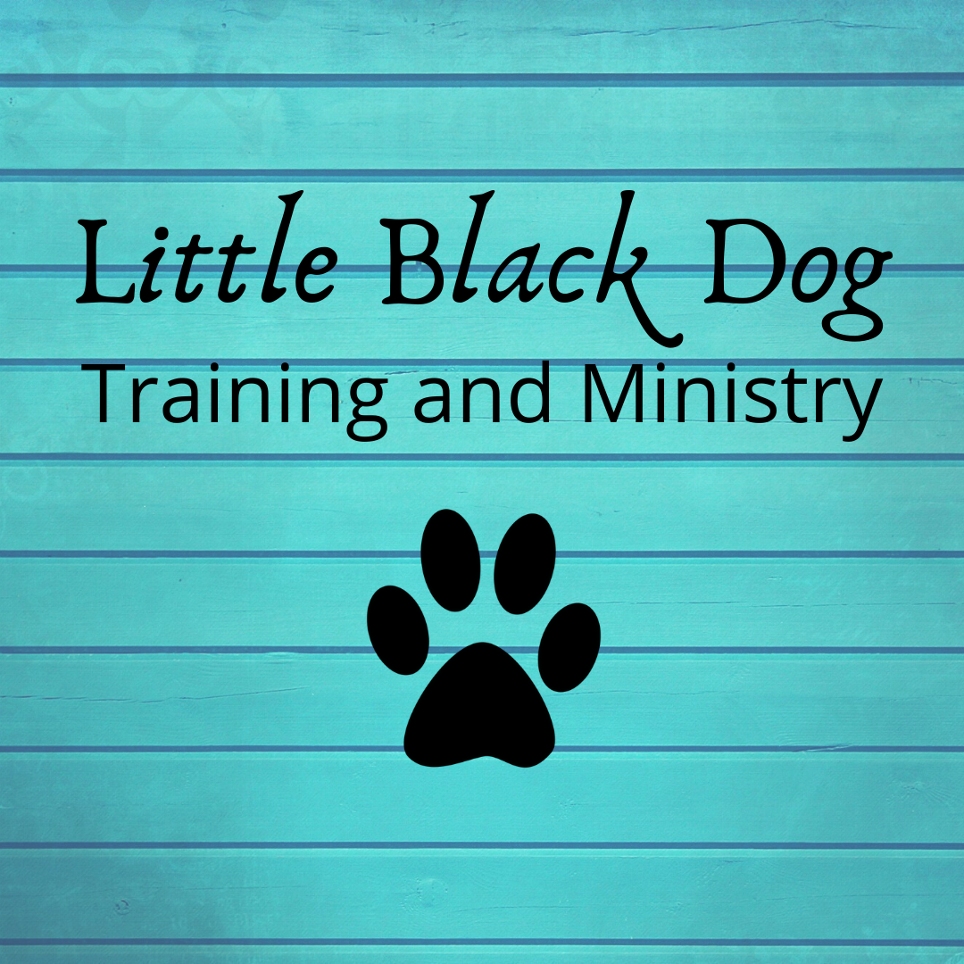 Little Black Dog Training Services