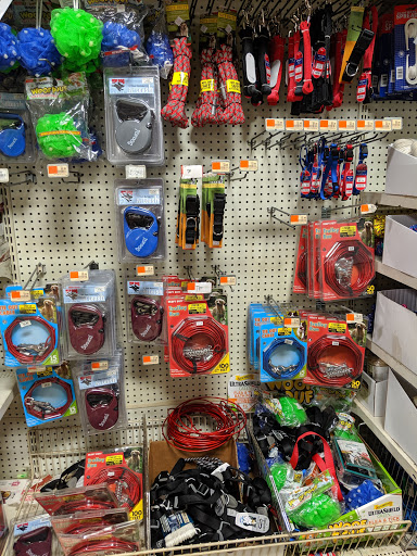 Discount Store «Ocean State Job Lot», reviews and photos, 231 E Main St, Westfield, MA 01085, USA