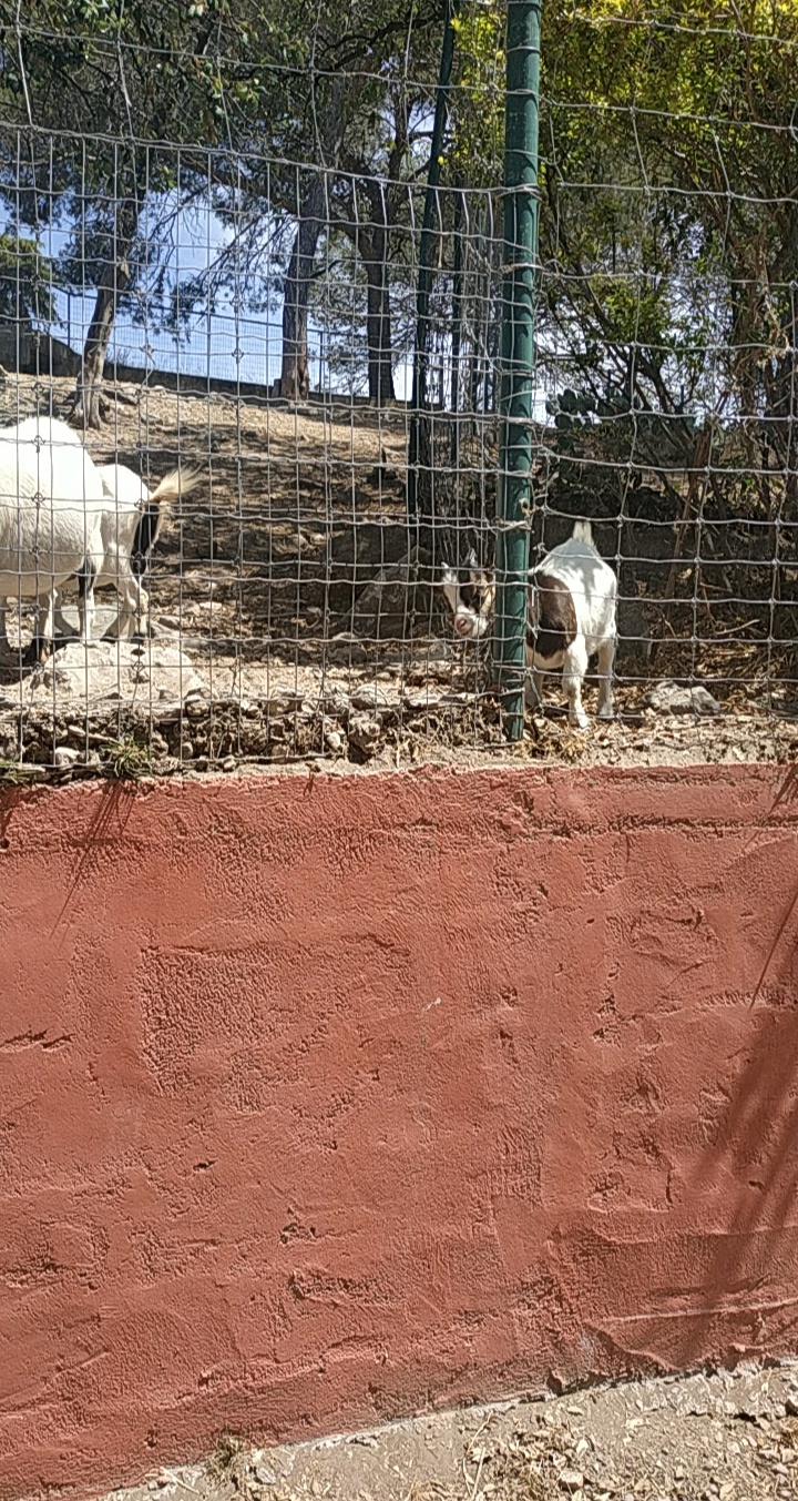 Photo n° 2 de l'avis de Aurélie.s fait le 28/09/2018 à 14:25