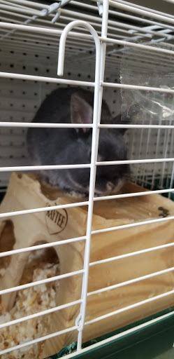 Pet Supply Store «House of Pets Inc», reviews and photos, 29500 Ford Rd, Garden City, MI 48135, USA