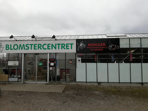 Koihulen.dk in Norre Alslev, Guldborgsund