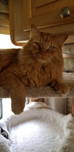 Pet Supply Store «Bay State Pet & Garden Supply», reviews and photos, 429 Winthrop St, Taunton, MA 02780, USA