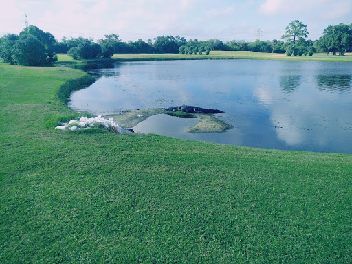 Golf Club «East Bay Golf Club», reviews and photos, 702 Country Club Dr, Largo, FL 33771, USA