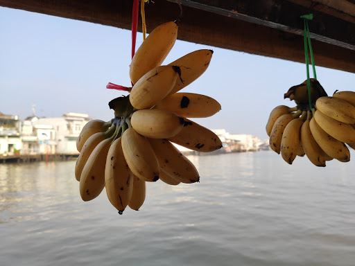 Top 16 1 password cửa hàng Huyện Cái Bè Tiền Giang 2022