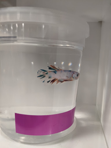 Pet Supply Store «PetSmart», reviews and photos, 160 Washington St #701, Rochester, NH 03839, USA