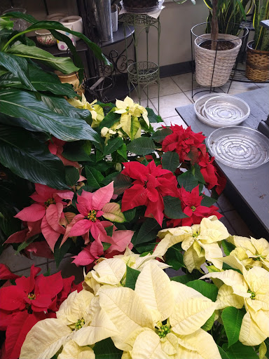 Florist «Grace Harper Florist, Inc.», reviews and photos, 4135 Woodward Ave, Detroit, MI 48201, USA