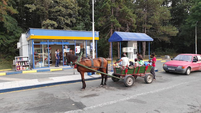 Петрол Приморско - Приморско