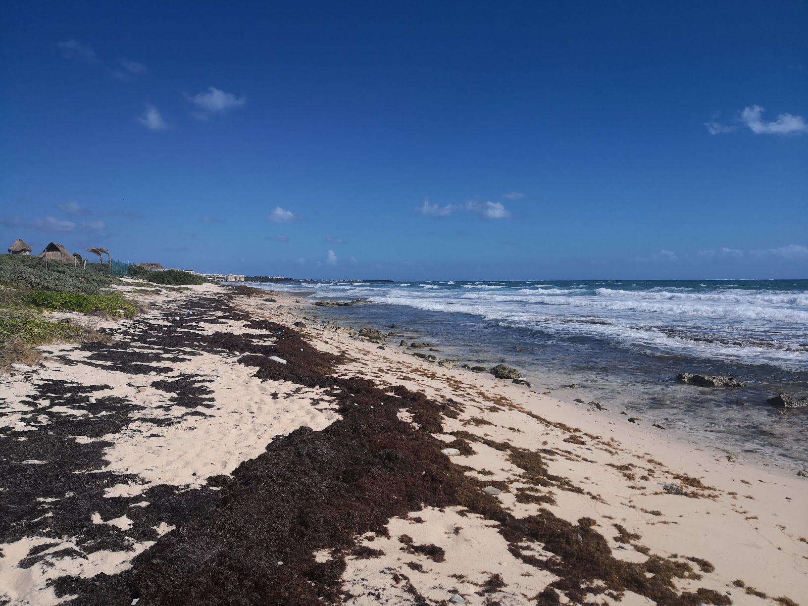 Foto de Playa Punta Brava ubicado en área natural