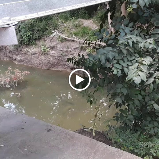 Park «Getzendaner Park», reviews and photos, 400 S Grand Ave, Waxahachie, TX 75165, USA