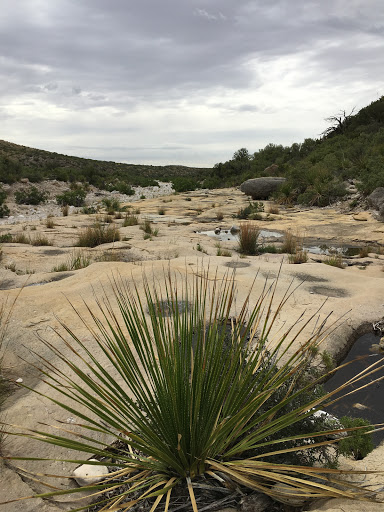 National Park «Guadalupe Mountains National Park», reviews and photos