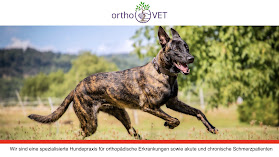 Hundepraxis orthoVET - Tierarzt Dr. med. vet. Patrick Blättler Monnier