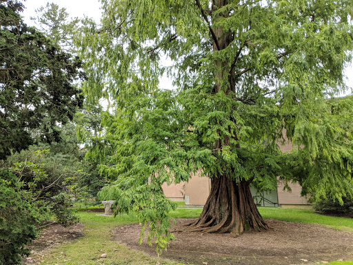 Museum «Princeton University Art Museum», reviews and photos, Elm Dr, Princeton, NJ 08544, USA