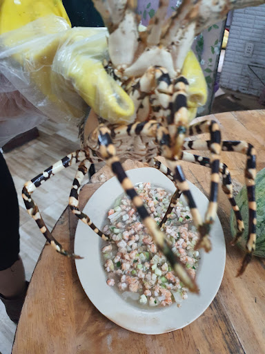 Top 20 cửa hàng akemi Huyện Lý Sơn Quảng Ngãi 2022