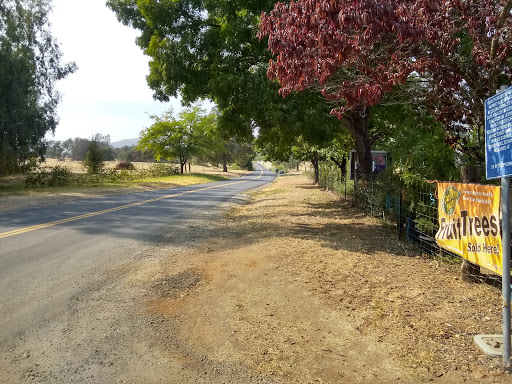 Florist «Bald Mountain Nursery», reviews and photos, 6195 Bald Mountain Rd, Browns Valley, CA 95918, USA