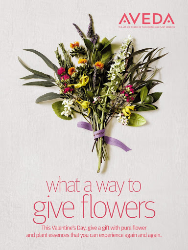 Beauty School «Aveda Institute Tallahassee», reviews and photos, 2020 W Pensacola St, Tallahassee, FL 32304, USA