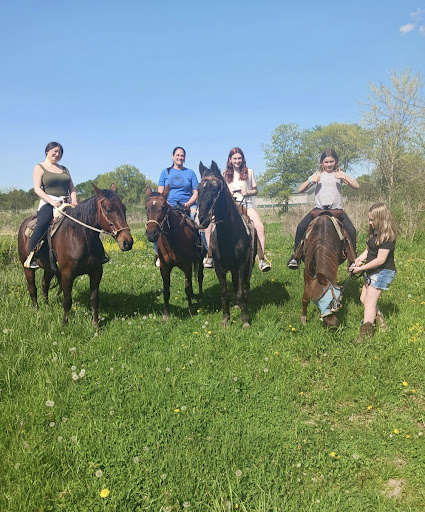Horseback riding service Toledo
