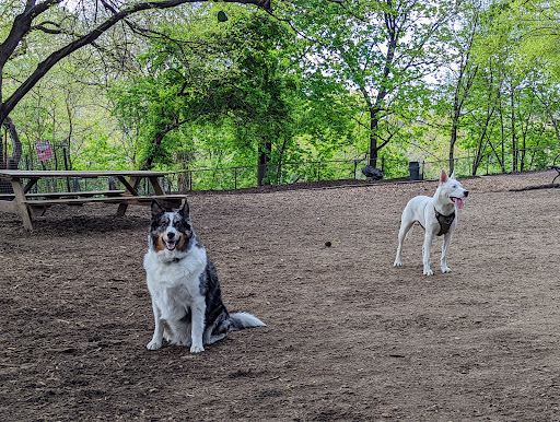 Photo of Morningside Park Dog Run