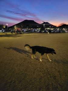 Photo 4 de Deem Hills Dog Park from Dog