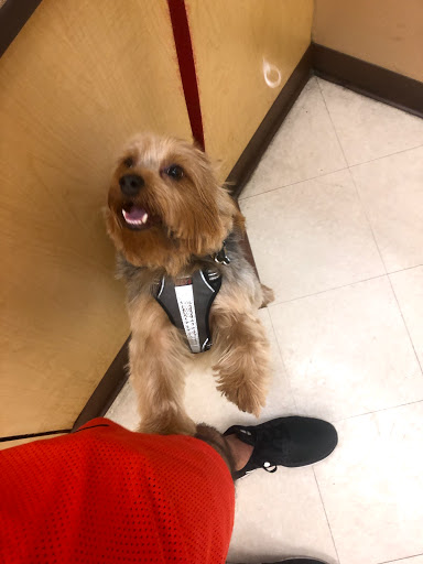 Pet Supply Store «PetSmart», reviews and photos, 10900 W Jefferson Blvd, Culver City, CA 90230, USA