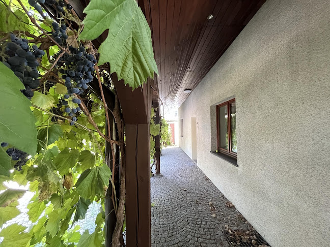 Ułańska 18, 44-153 Kozłów