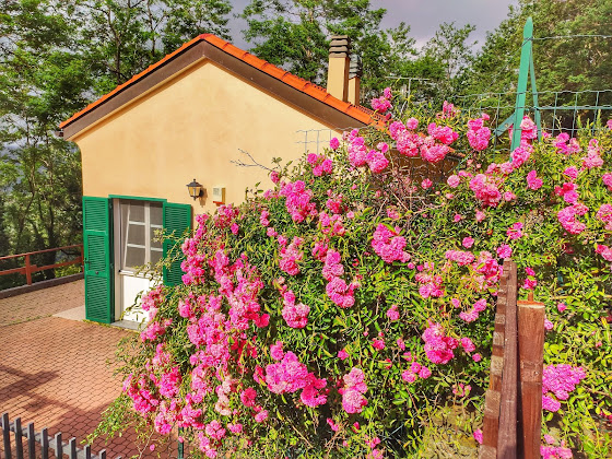 Photos des visiteurs Villa Casa vacanza A me Ca' picita 17044 Stella, Liguria