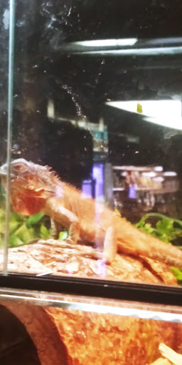 Pet Store «Pets World», reviews and photos, 147 Bridge St, Weymouth, MA 02191, USA