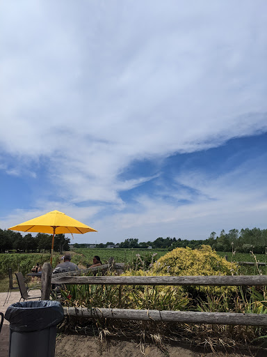 Vineyard «Duck Walk Vineyard», reviews and photos, 231 Montauk Hwy, Water Mill, NY 11976, USA
