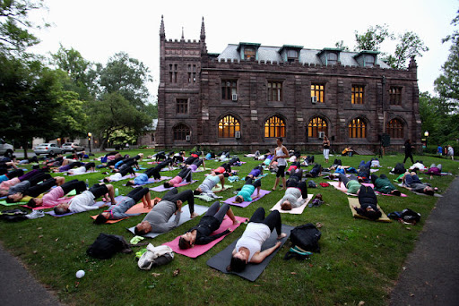 Museum «Princeton University Art Museum», reviews and photos, Elm Dr, Princeton, NJ 08544, USA