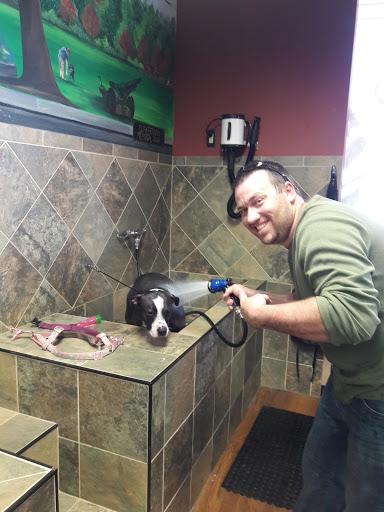 Pet Store «Pet Valu», reviews and photos, 1465 W Broad St, Quakertown, PA 18951, USA