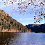 Photo n° 1 de l'avis de Eric.i fait le 20/03/2022 à 11:08 pour Longemer à Xonrupt-Longemer