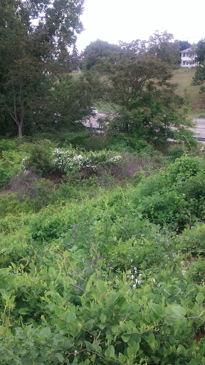 Funeral Home «A.A. Mariani & Son Funeral Home», reviews and photos, 200 Hawkins St, Providence, RI 02904, USA