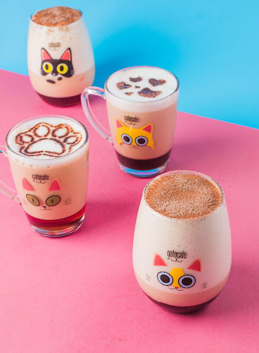 Comentários e avaliações sobre Gato Café