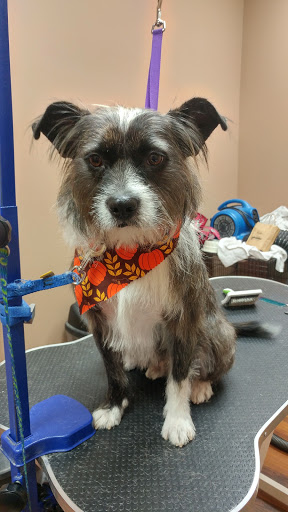 Pet Store «Pet Valu», reviews and photos, 6455 Carlisle Pike, Mechanicsburg, PA 17050, USA