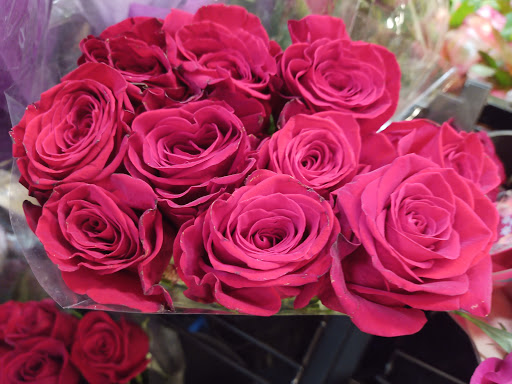 Grocery Store «H-E-B Grocery», reviews and photos, 209 N Texas Ave, Mercedes, TX 78570, USA