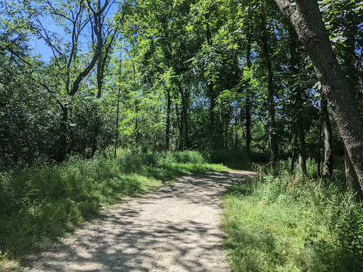 Watersmeet Woods