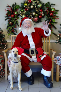 Hidden Valley Animal Hospital - Photo 9 - Car repair in Raleigh, NC, Raleigh