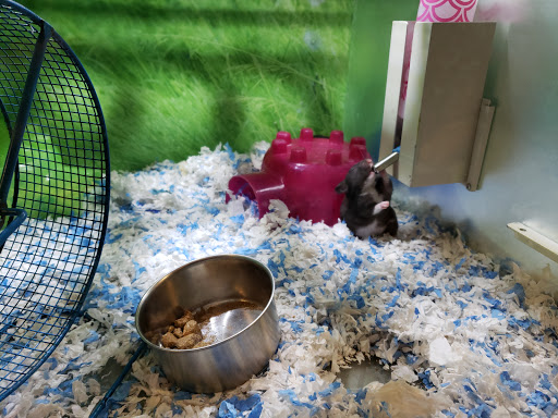 Pet Supply Store «PetSmart», reviews and photos, 573 N McKinley St, Corona, CA 92879, USA