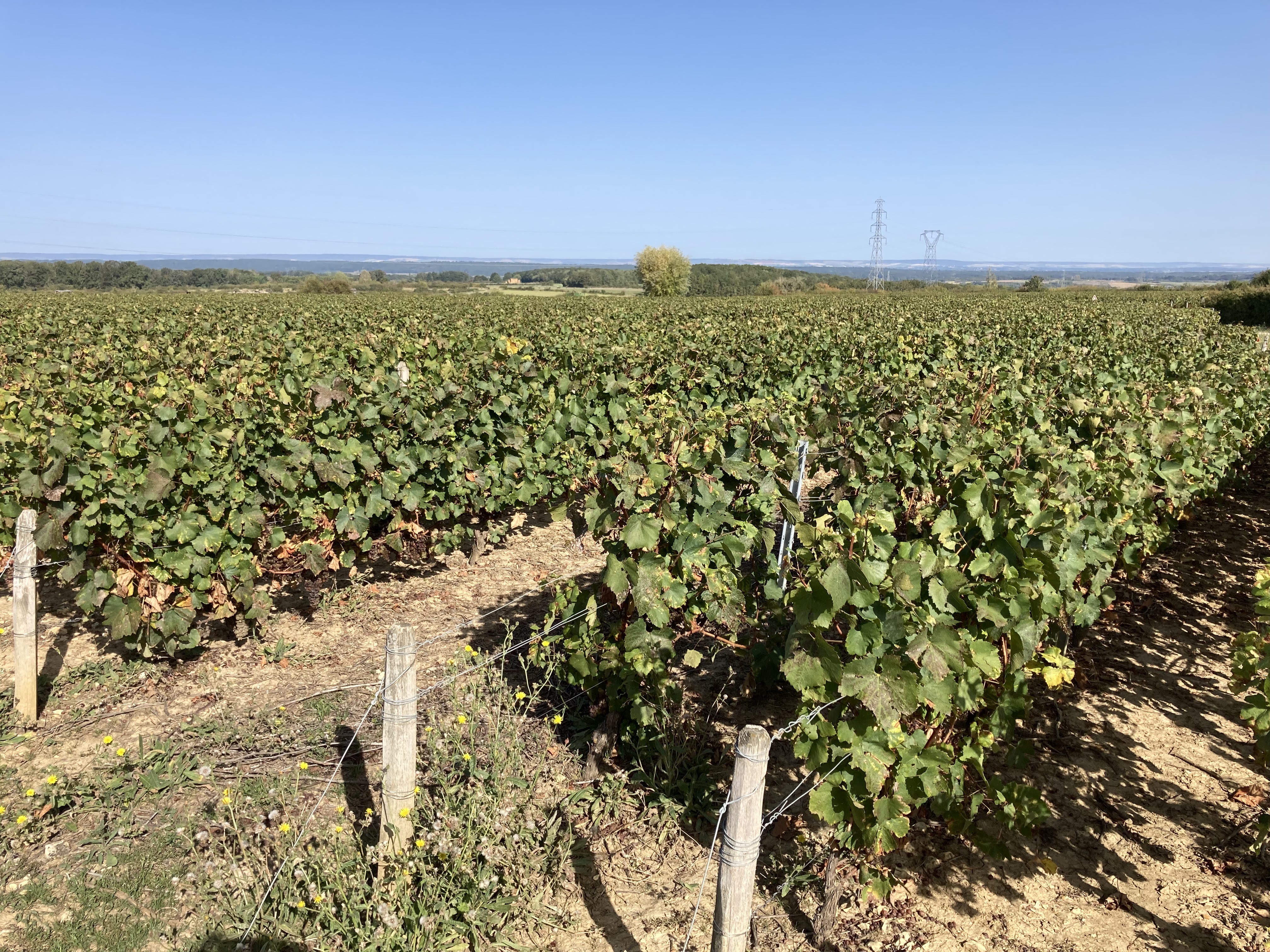 Photo n° 4 de l'avis de Jean-Claude.O fait le 07/10/2023 à 20:17