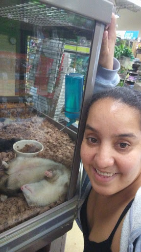 Pet Supply Store «Petco Animal Supplies», reviews and photos, 340 Grasmere Ave, Fairfield, CT 06824, USA