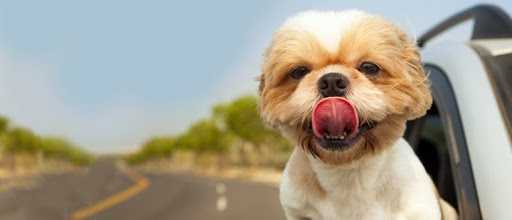 Insurance Agency «Able Insurance Virginia», reviews and photos