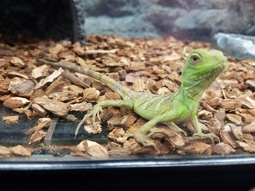 Pet Supply Store «Petco Animal Supplies», reviews and photos, 10 Sylvan St, Peabody, MA 01960, USA