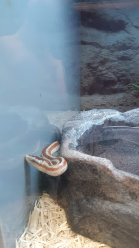 Pet Supply Store «Petco Animal Supplies», reviews and photos, 1844 E Ridge Pike #110, Royersford, PA 19468, USA