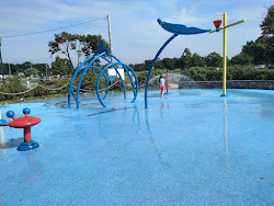 Foto von Calf Pasture Beach - beliebter Ort unter Entspannungskennern