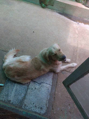 Google Maps image 28