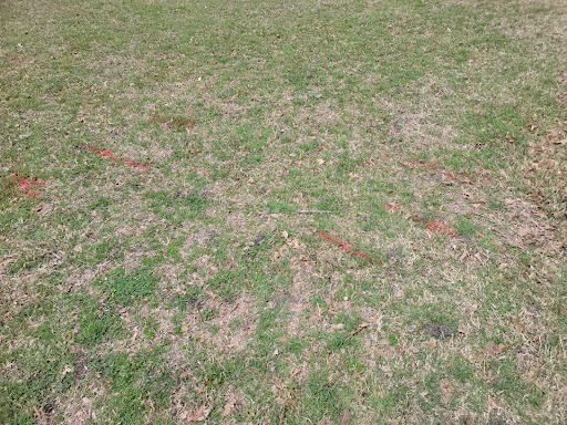 Park «Clay Mathis Park», reviews and photos, 2181 Clay Mathis Rd, Mesquite, TX 75181, USA