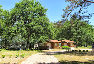 Photo n°7 de Camping des Étangs à Aubigny-sur-Nère ()