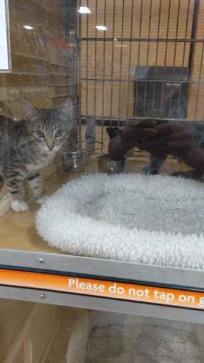 PetSmart image