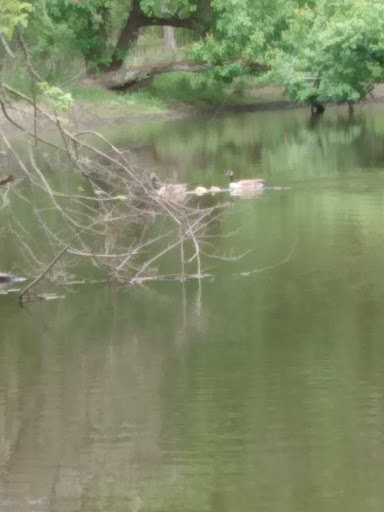 Park «Boyle Park», reviews and photos, 2000 Boyle Park Rd, Little Rock, AR 72204, USA